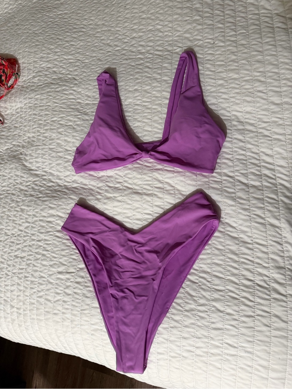 Zara Purple Bikini